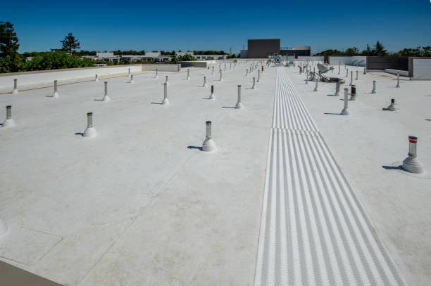 Best Sheet Metal Roofing  in Newport Beach, CA